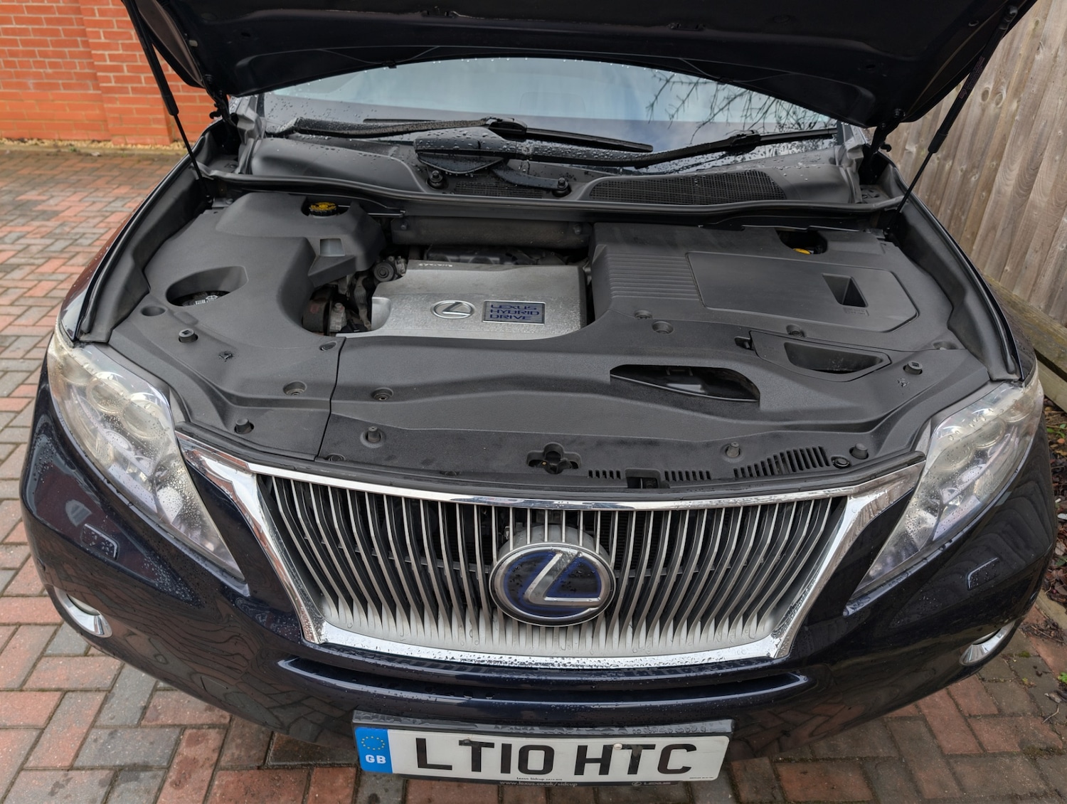 Used Lexus RX 2010 for sale - 77306879: Photo 19