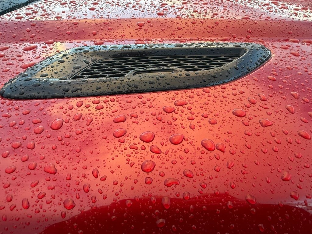 Used Land Rover Range Rover Evoque 2017 for sale - 77571921: Photo 16