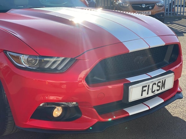 Used Ford Mustang 2016 for sale - 72186412: Photo 13