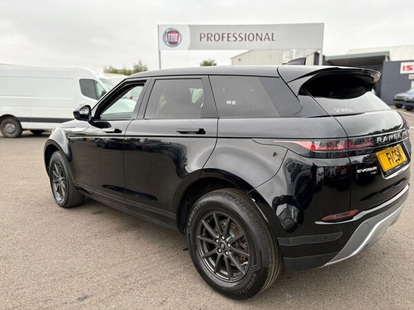 Used Land Rover Range Rover Evoque 2019 for sale - 75194207: Photo 11