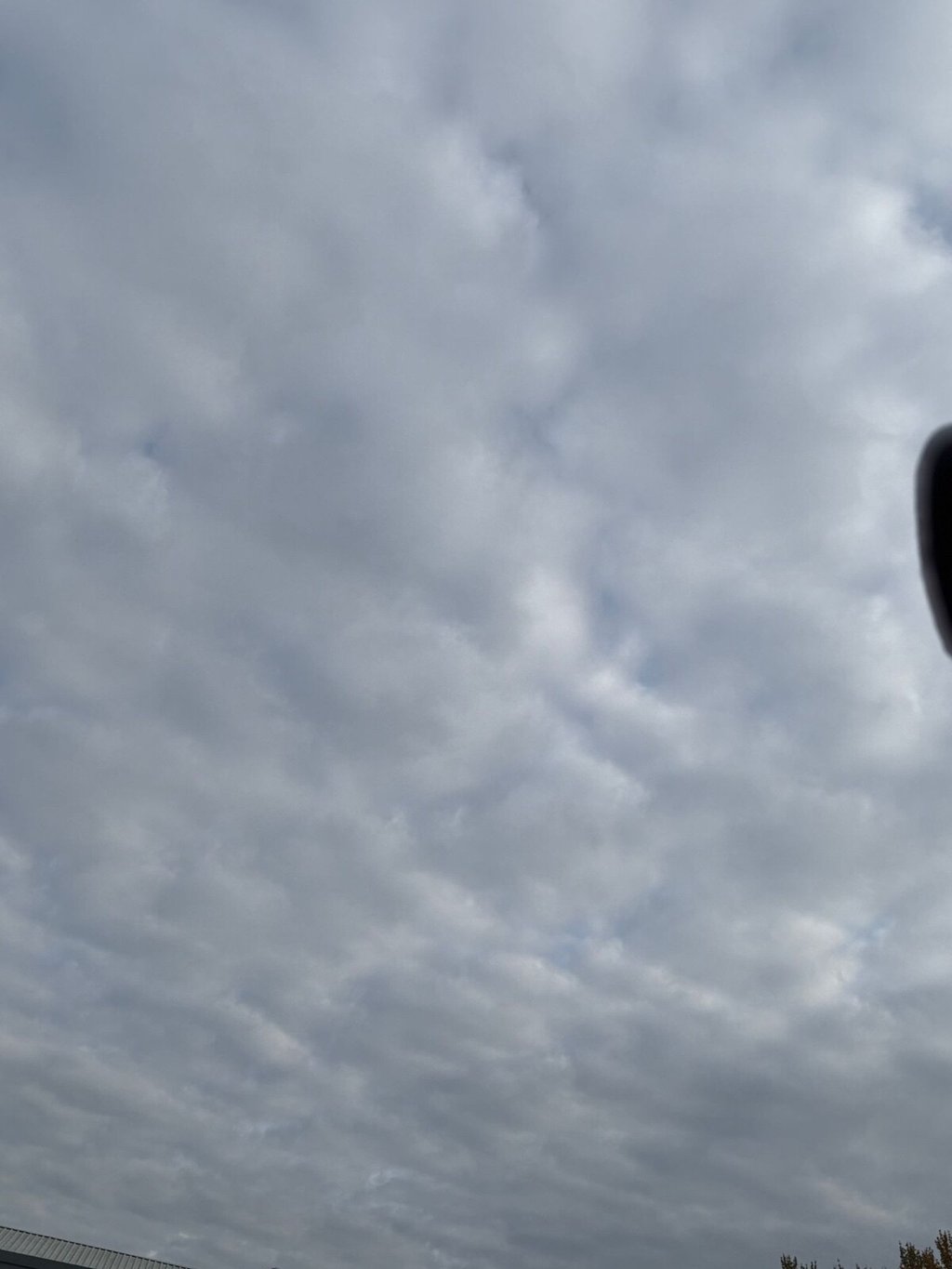 Used Land Rover Range Rover Velar 2019 for sale - 76256272: Photo 16