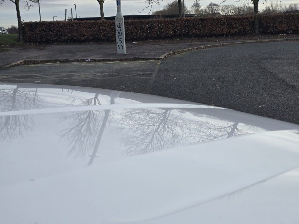 Used Ford Ranger 2019 for sale - 76655002: Photo 18