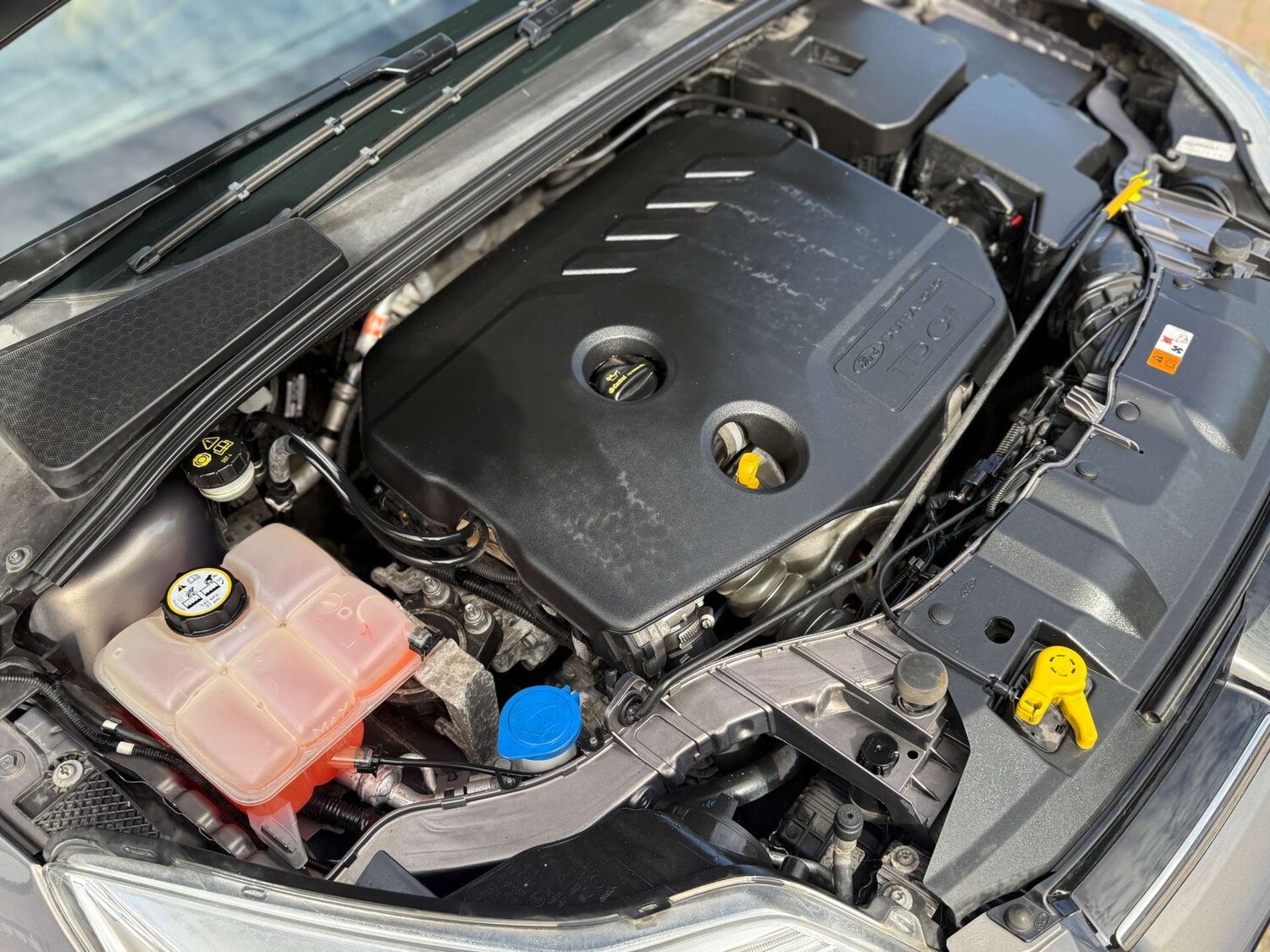 Used Ford Focus 2013 for sale - 78029002: Photo 38