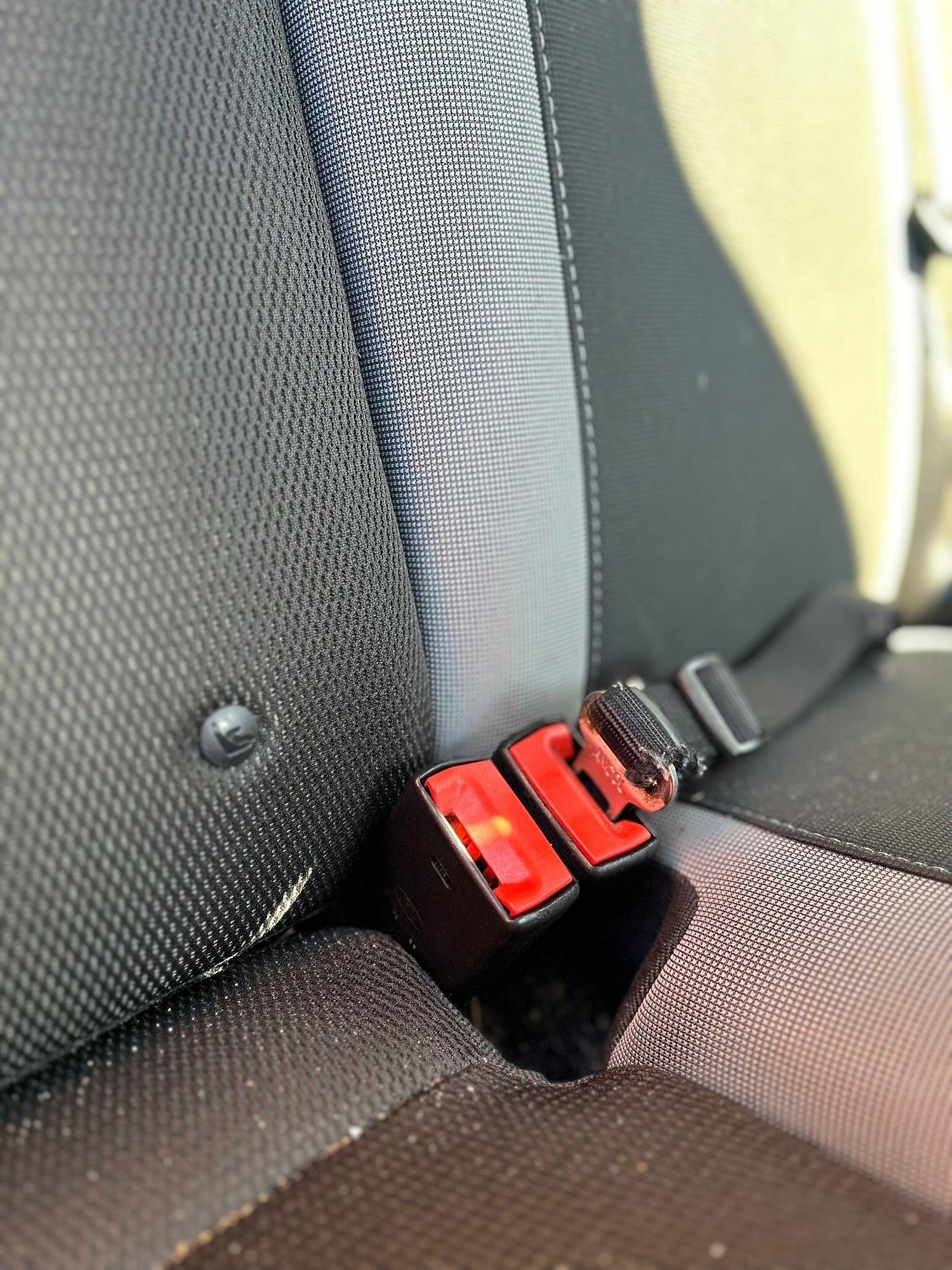 Used Ford Focus 2014 for sale - 78034723: Photo 28