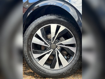 Used Volkswagen Polo 2019 for sale - 78911267: Photo