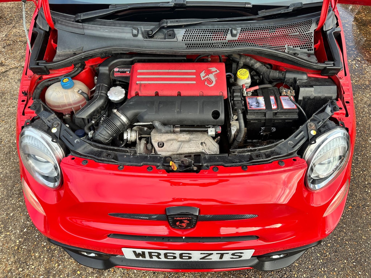 Used Abarth 595 2016 for sale - 76945975: Photo 3