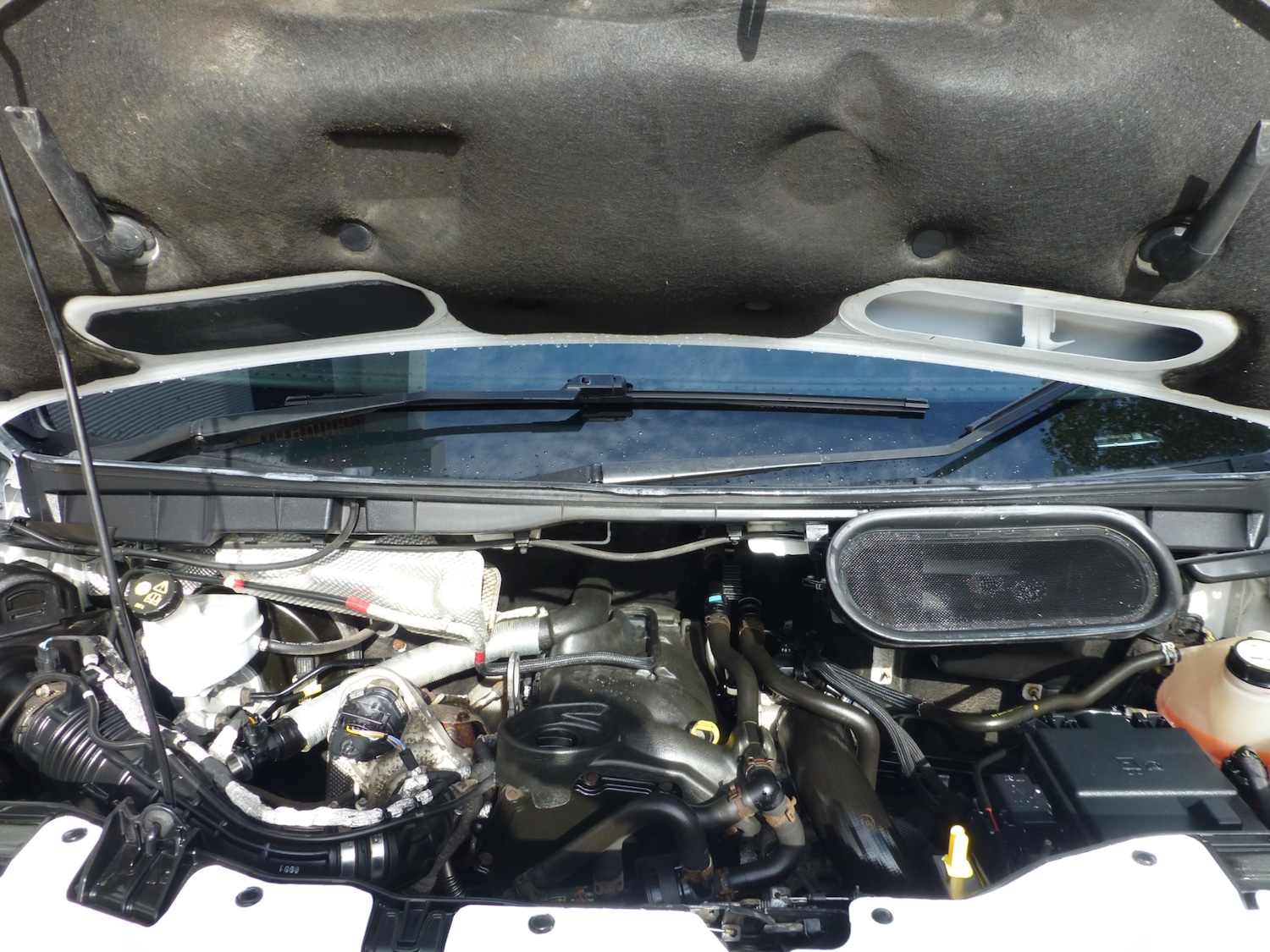 Used Ford Transit 2021 for sale - 76340539: Photo 13