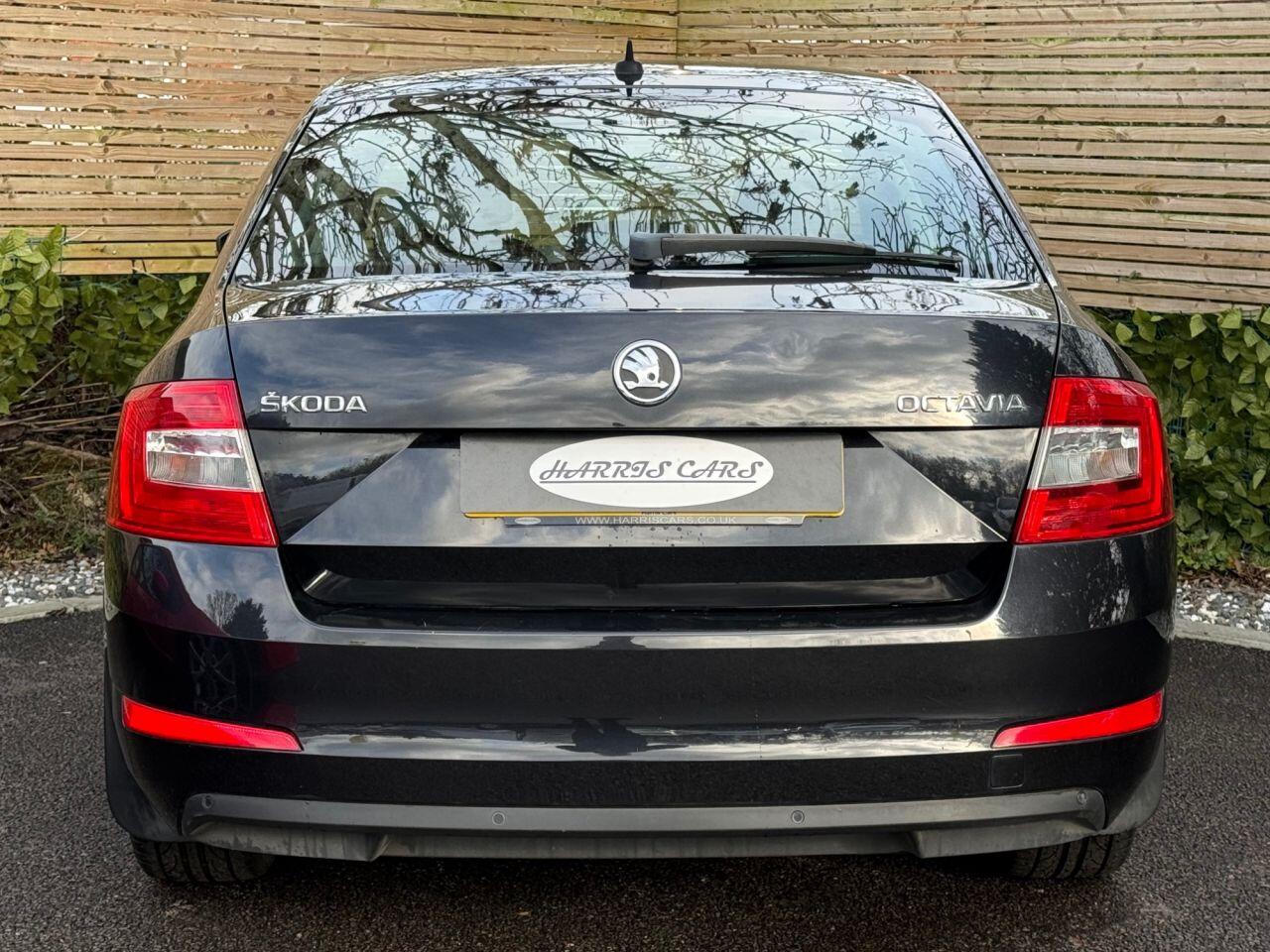 Used Skoda Octavia for sale - 77550168: Photo 11