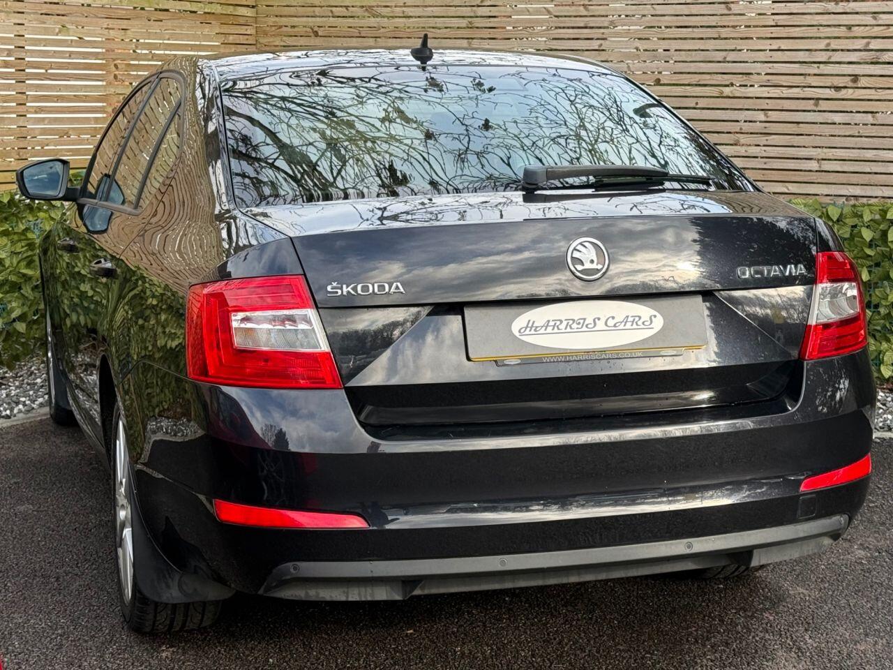 Used Skoda Octavia for sale - 77550168: Photo 12