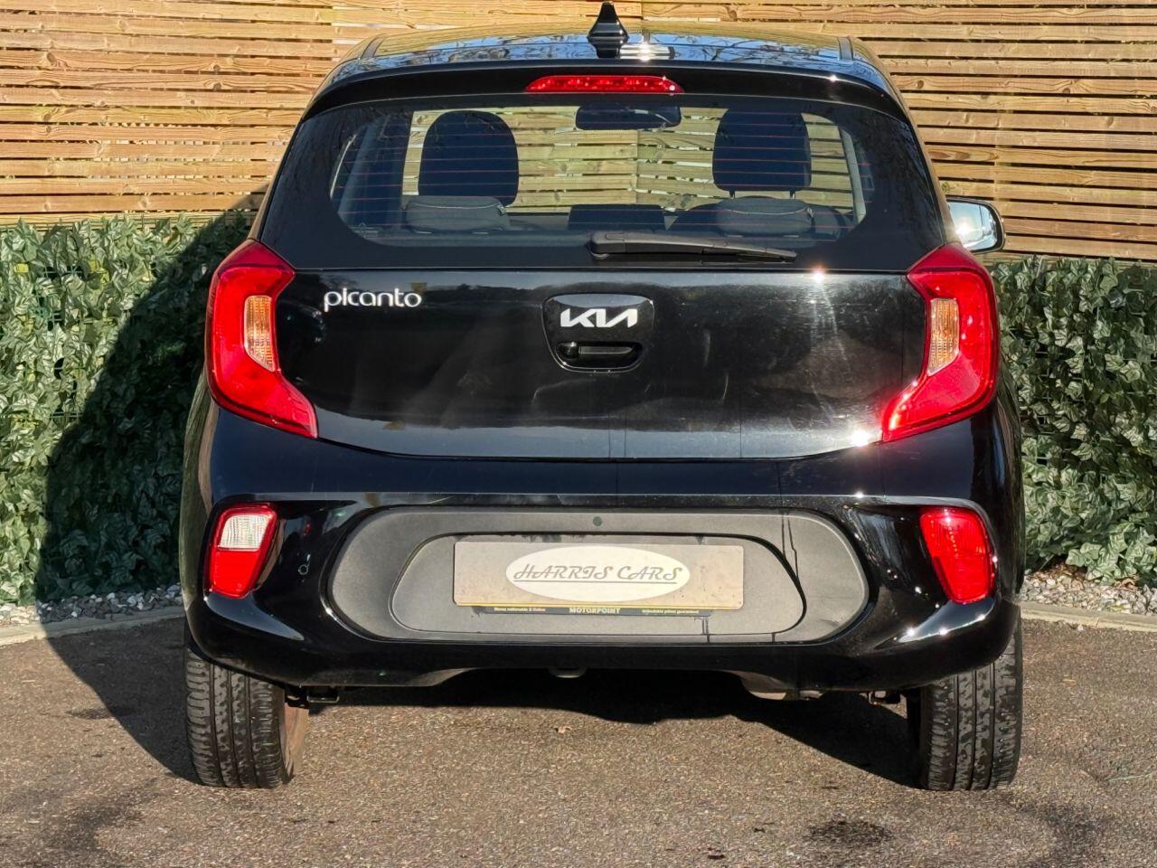 Used Kia Picanto for sale - 77753516: Photo 10