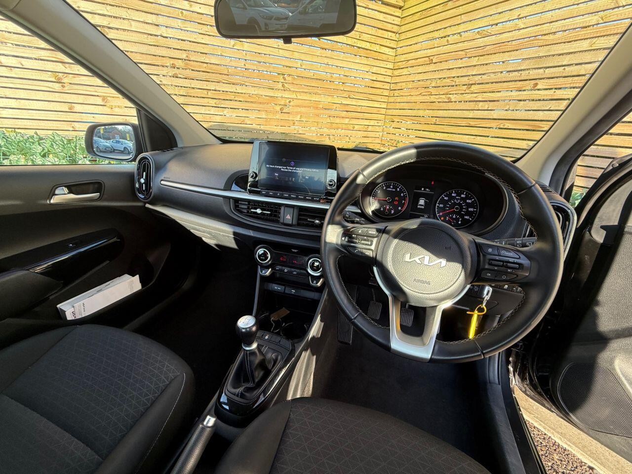 Used Kia Picanto for sale - 77753516: Photo 14