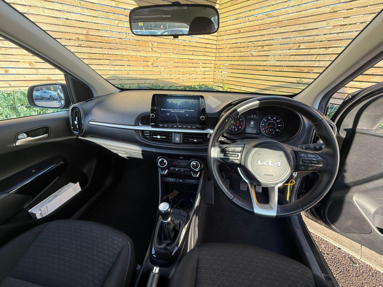 Used Kia Picanto for sale - 77753516: Photo 15