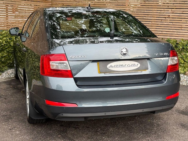 Used Skoda Octavia 2015 for sale - 76189587: Photo 12