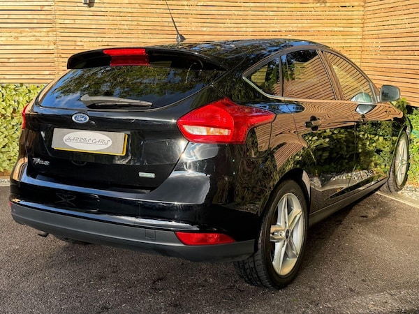 Used Ford Focus 2016 for sale - 76189623: Photo 16