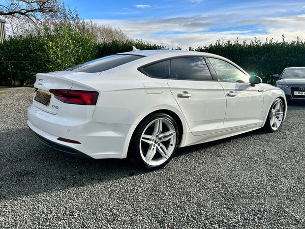Used Audi A5 2019 for sale - 76593105: Photo 5