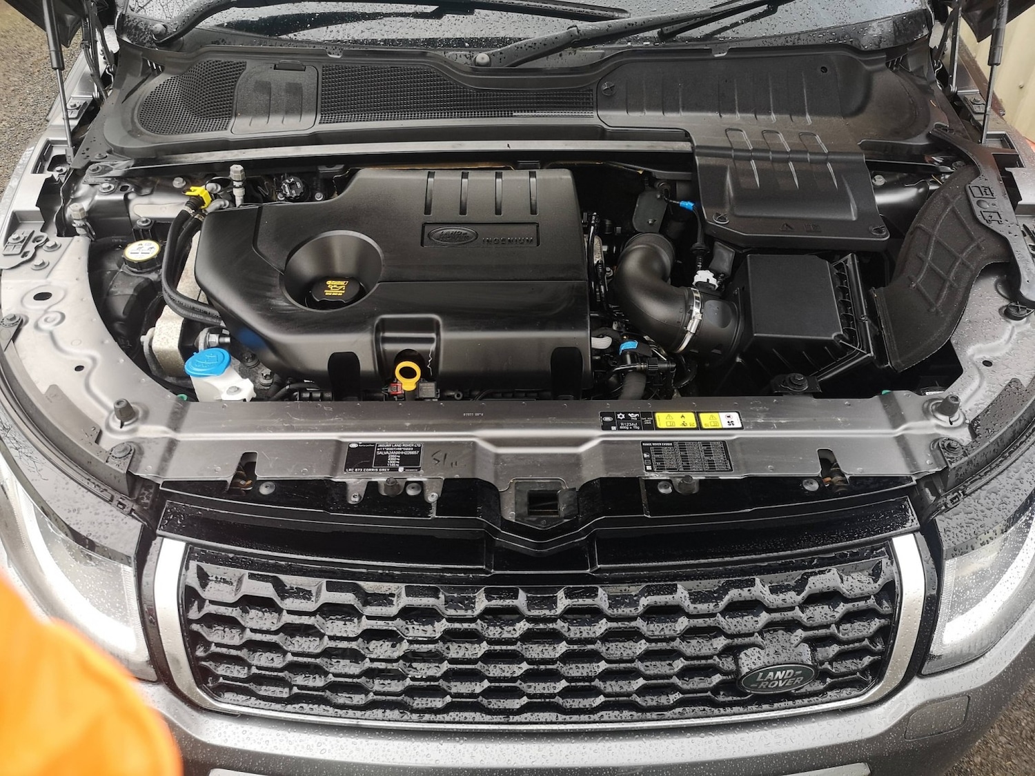 Used Land Rover Range Rover Evoque 2017 for sale - 77906680: Photo 10