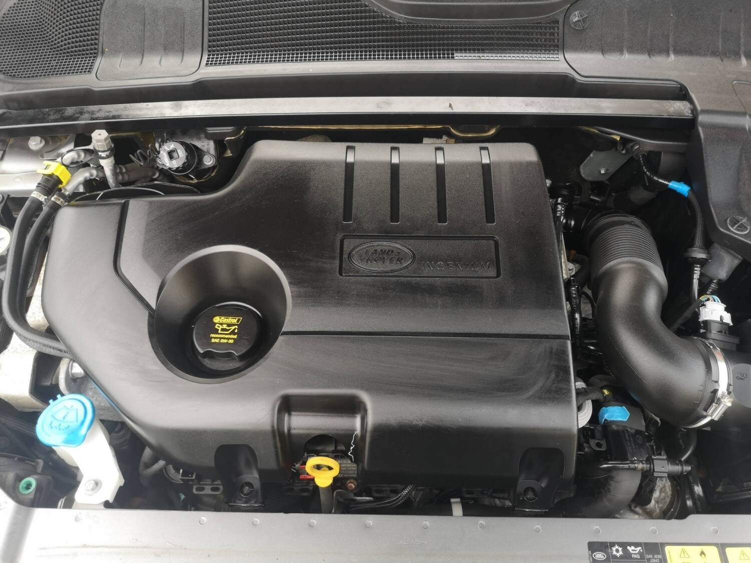 Used Land Rover Range Rover Evoque 2017 for sale - 77906680: Photo 11