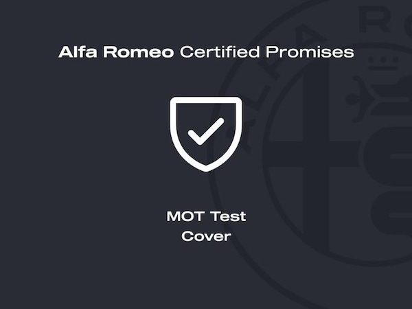 Used Alfa Romeo Junior 2025 for sale - 75475252: Photo 32