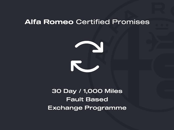Used Alfa Romeo Junior 2025 for sale - 75475243: Photo 29