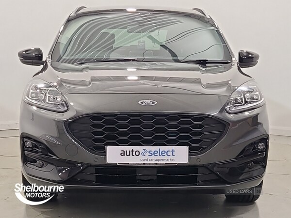 Used Ford Kuga 2024 for sale - 75867326: Photo 11