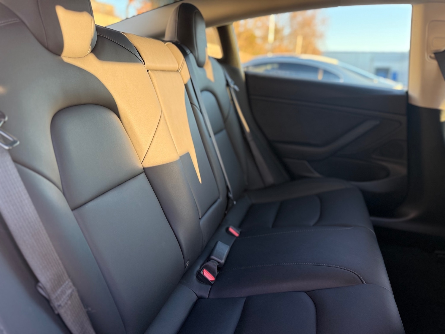 Used Tesla Model 3 2019 for sale - 78140039: Photo 7