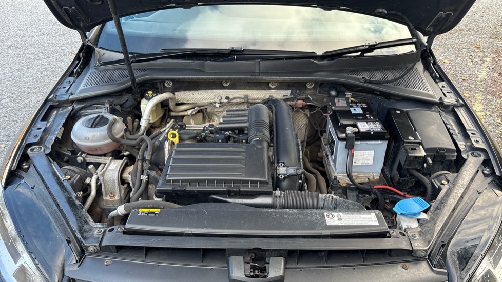 Used Volkswagen Golf 2017 for sale - 77021856: Photo 17