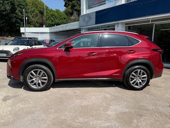 Used Lexus NX 2017 for sale - 75511416: Photo