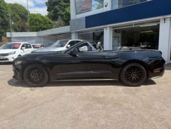 Used Ford Mustang 2017 for sale - 74915752: Photo