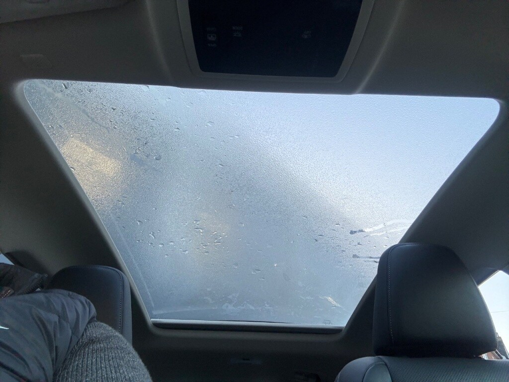 Used Lexus NX 2020 for sale - 76877704: Photo 43