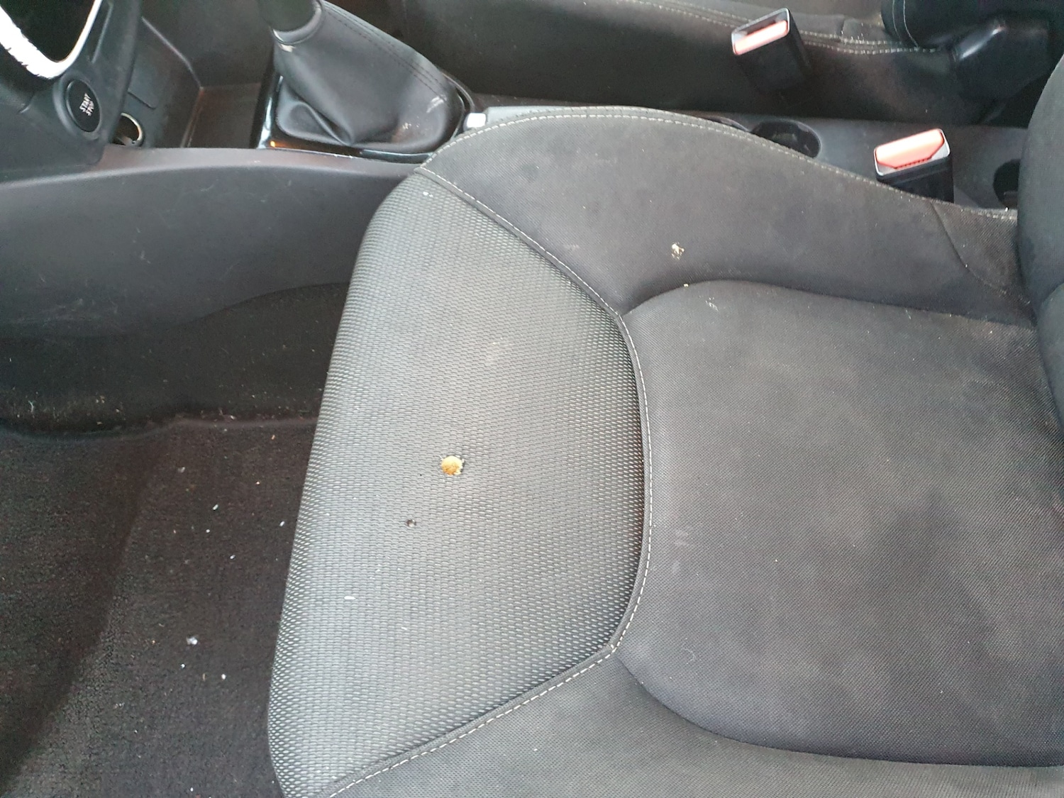 Used Renault Clio 2015 for sale - 76780432: Photo 28