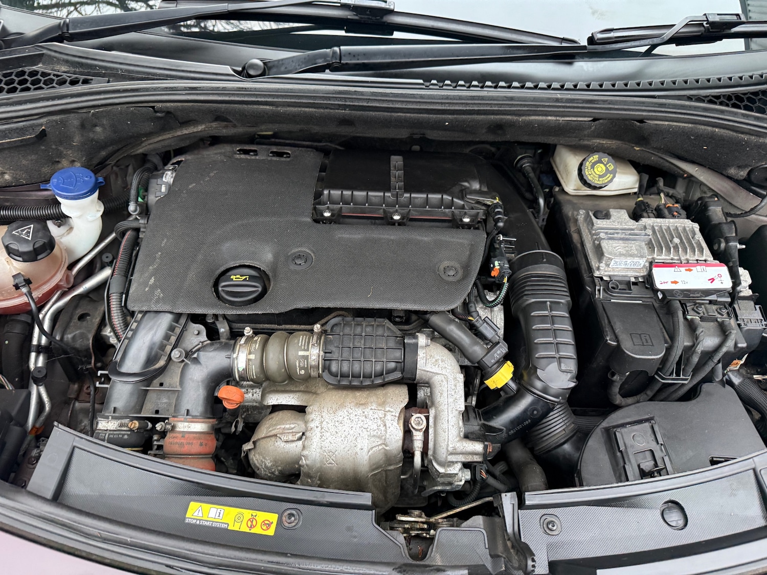 Used DS Automobiles DS 3 2016 for sale - 77329310: Photo 22