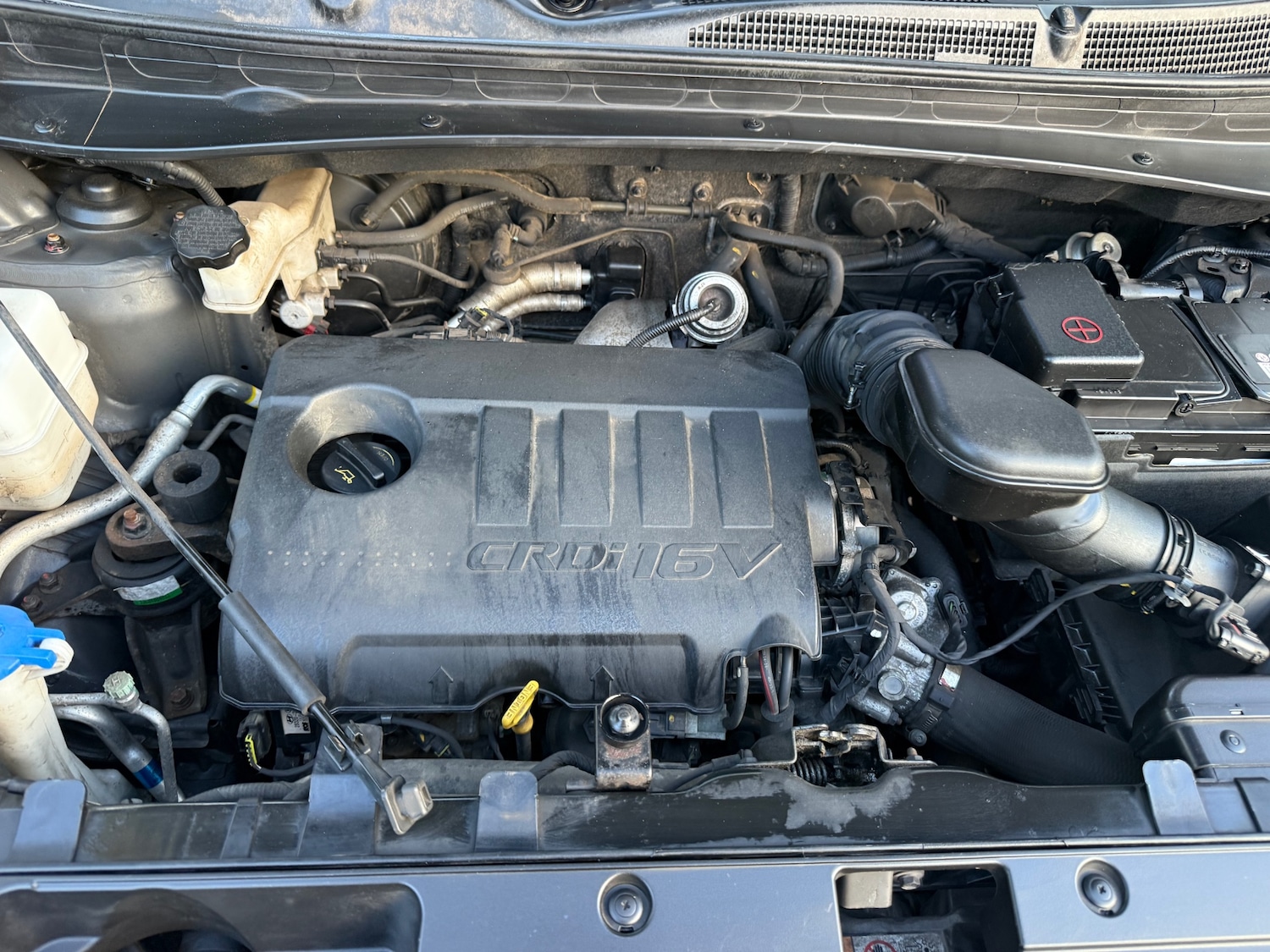 Used Kia Sportage 2014 for sale - 76396845: Photo 24