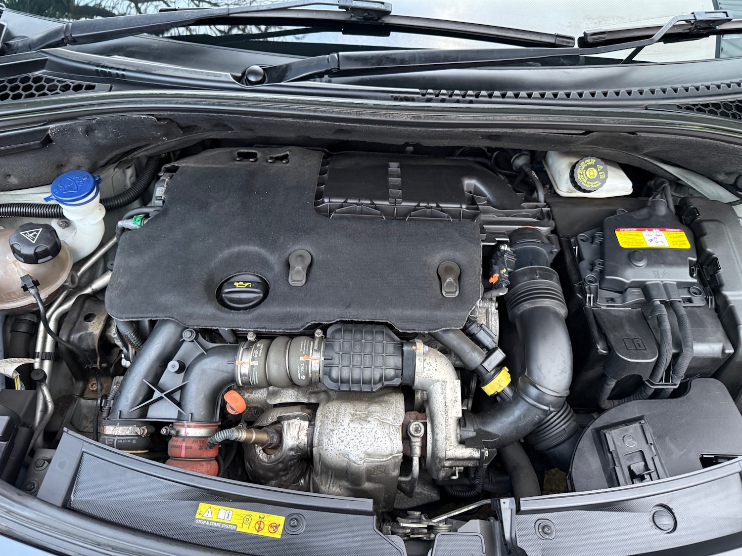 Used Citroen DS3 2014 for sale - 76906384: Photo 21