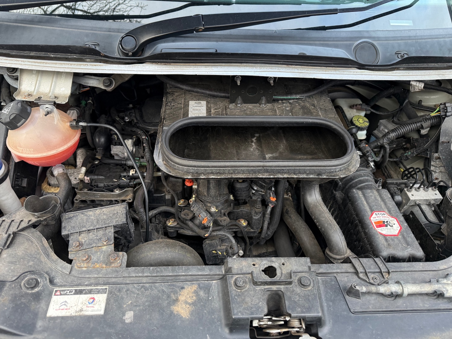 Used Citroen Dispatch 2015 for sale - 77732893: Photo 21