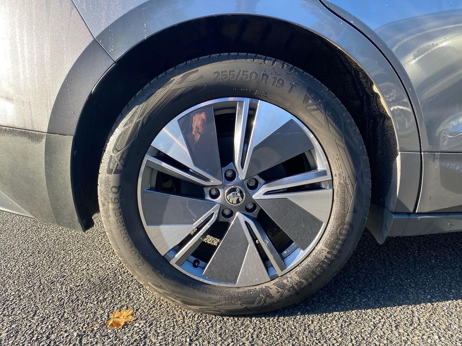 Used Skoda Enyaq 2023 for sale - 76305387: Photo 6