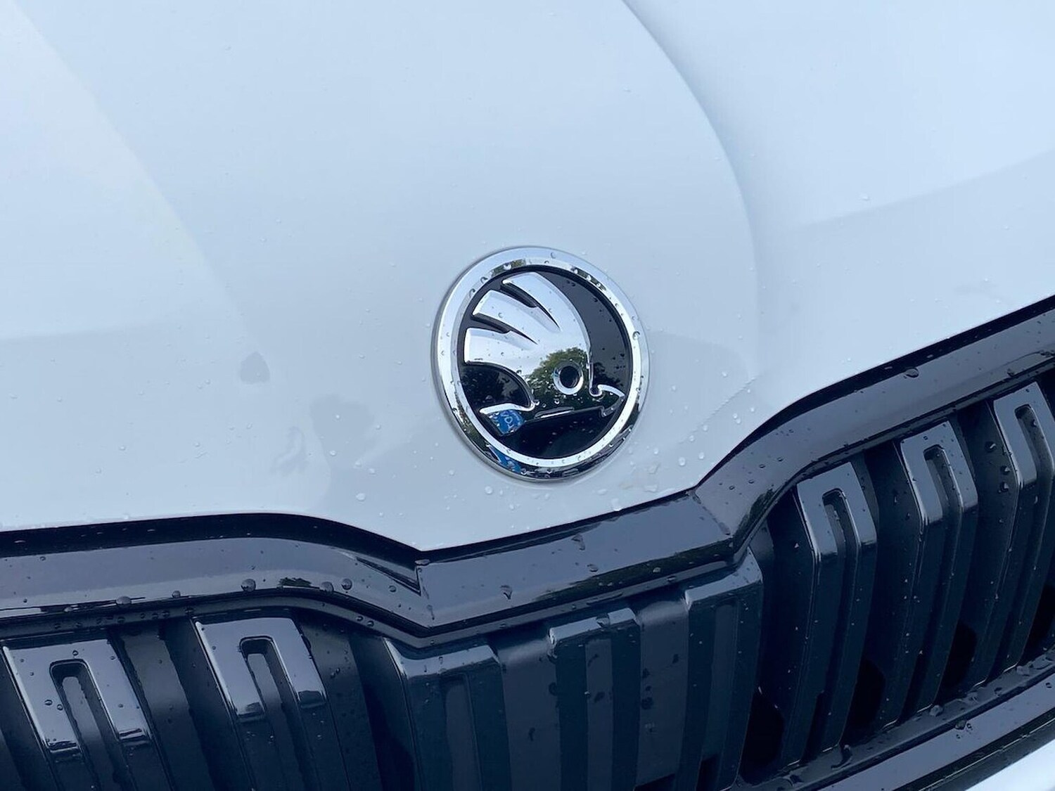 Used Skoda Kamiq 2023 for sale - 75956543: Photo 31