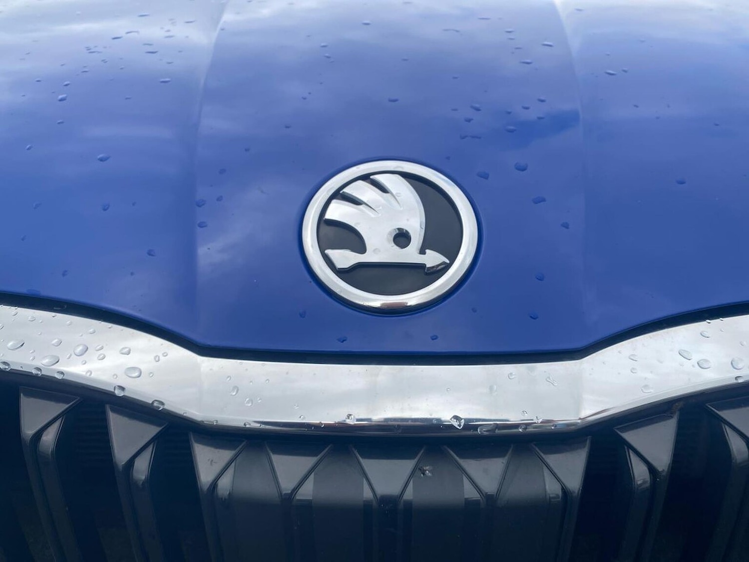 Used Skoda Octavia 2023 for sale - 77707405: Photo 31