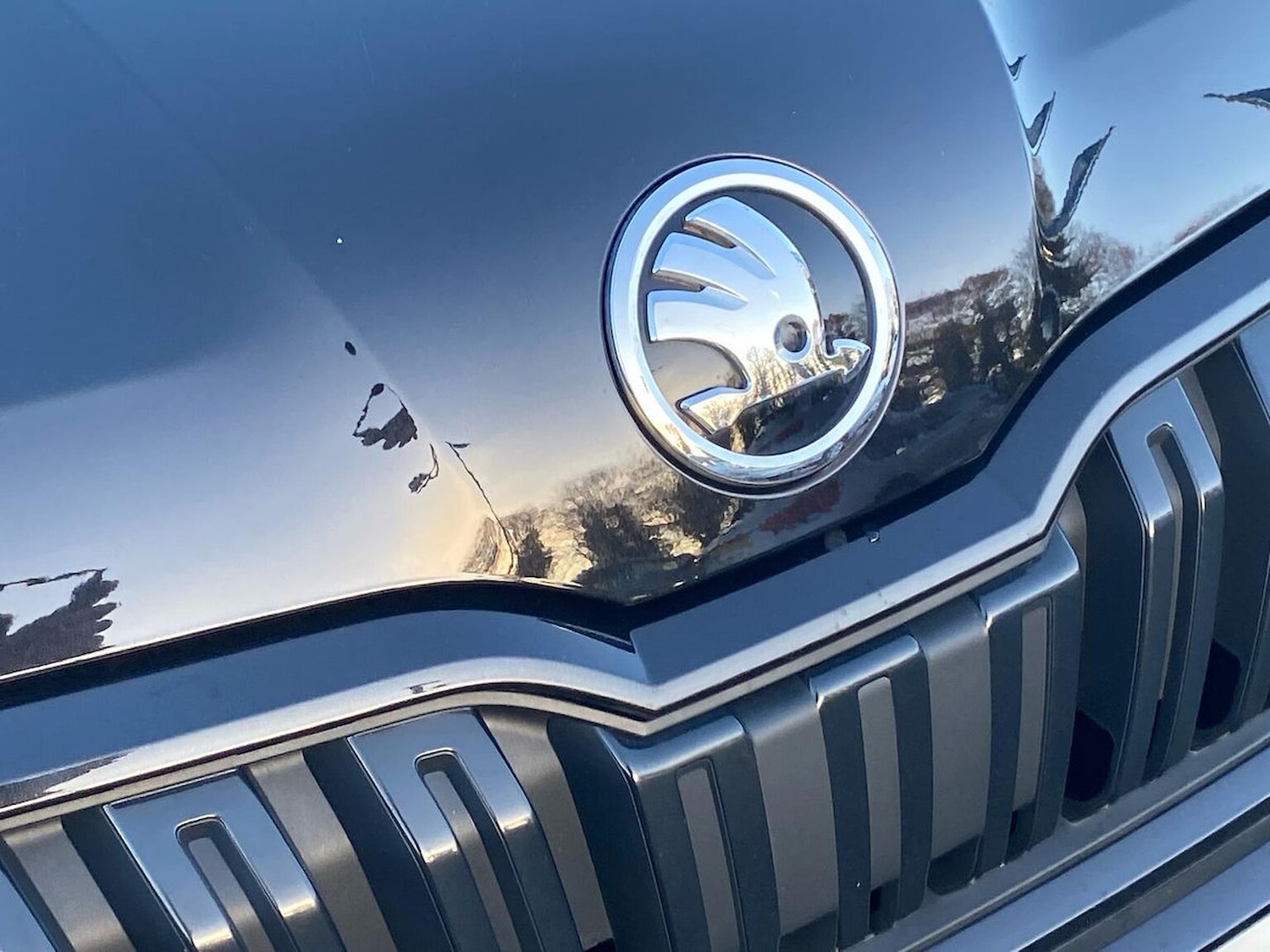 Used Skoda Kamiq 2024 for sale - 76735542: Photo 31