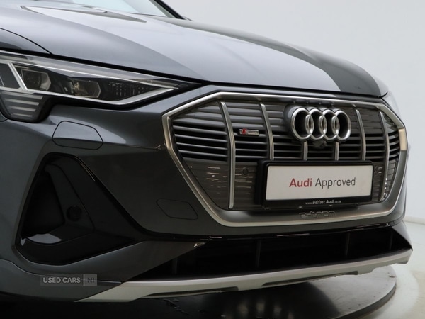 Used Audi e-tron 2020 for sale - 78035387: Photo 31