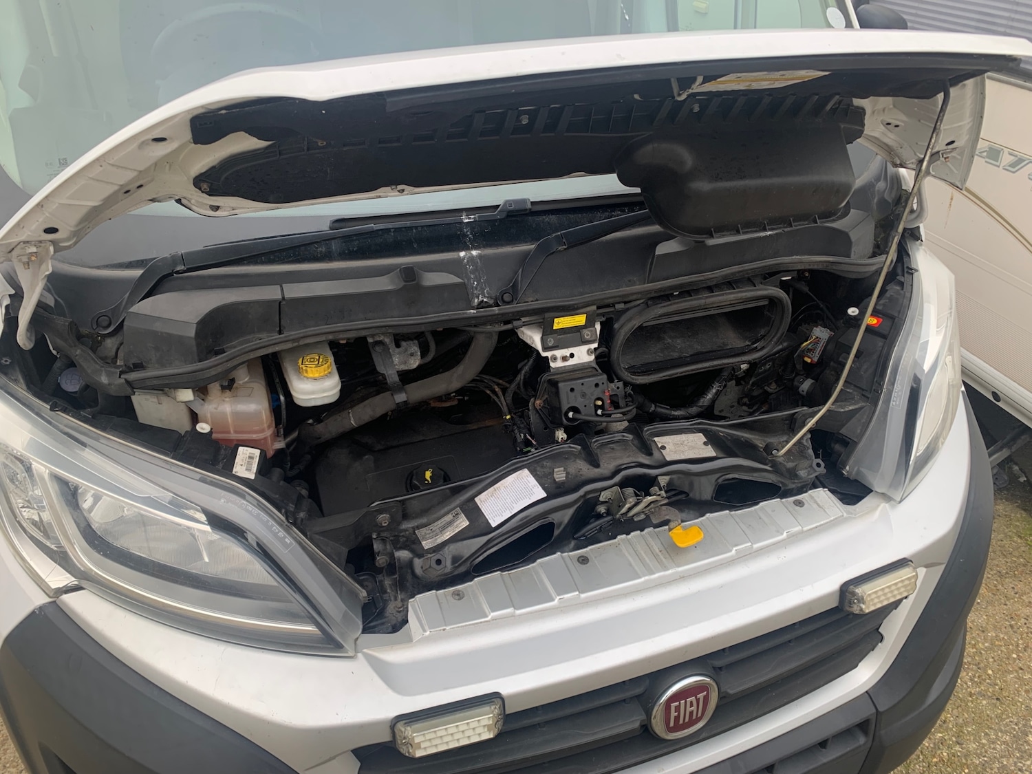 Used Fiat Ducato 2019 for sale - 77915436: Photo 7