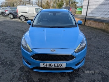 Used Ford Focus 2016 for sale - 77634147: Photo