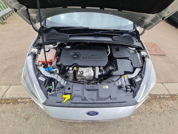 Used Ford Focus 2017 for sale - 75765801: Photo 25