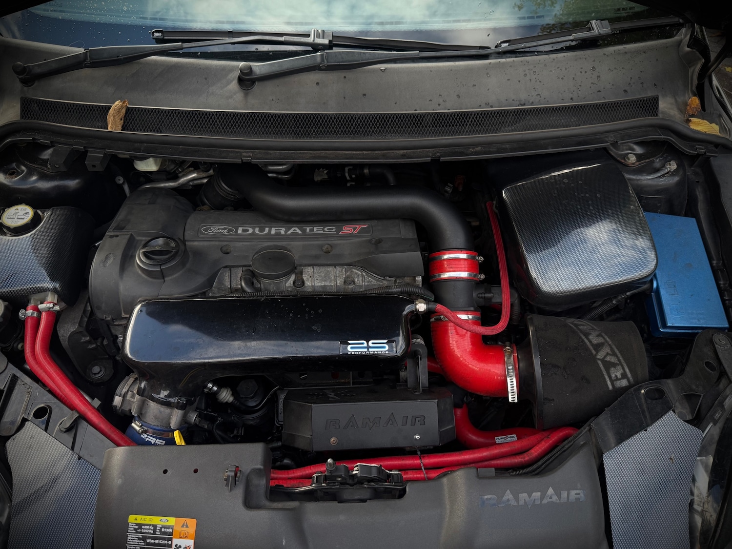 Used Ford Focus 2009 for sale - 76342932: Photo 18