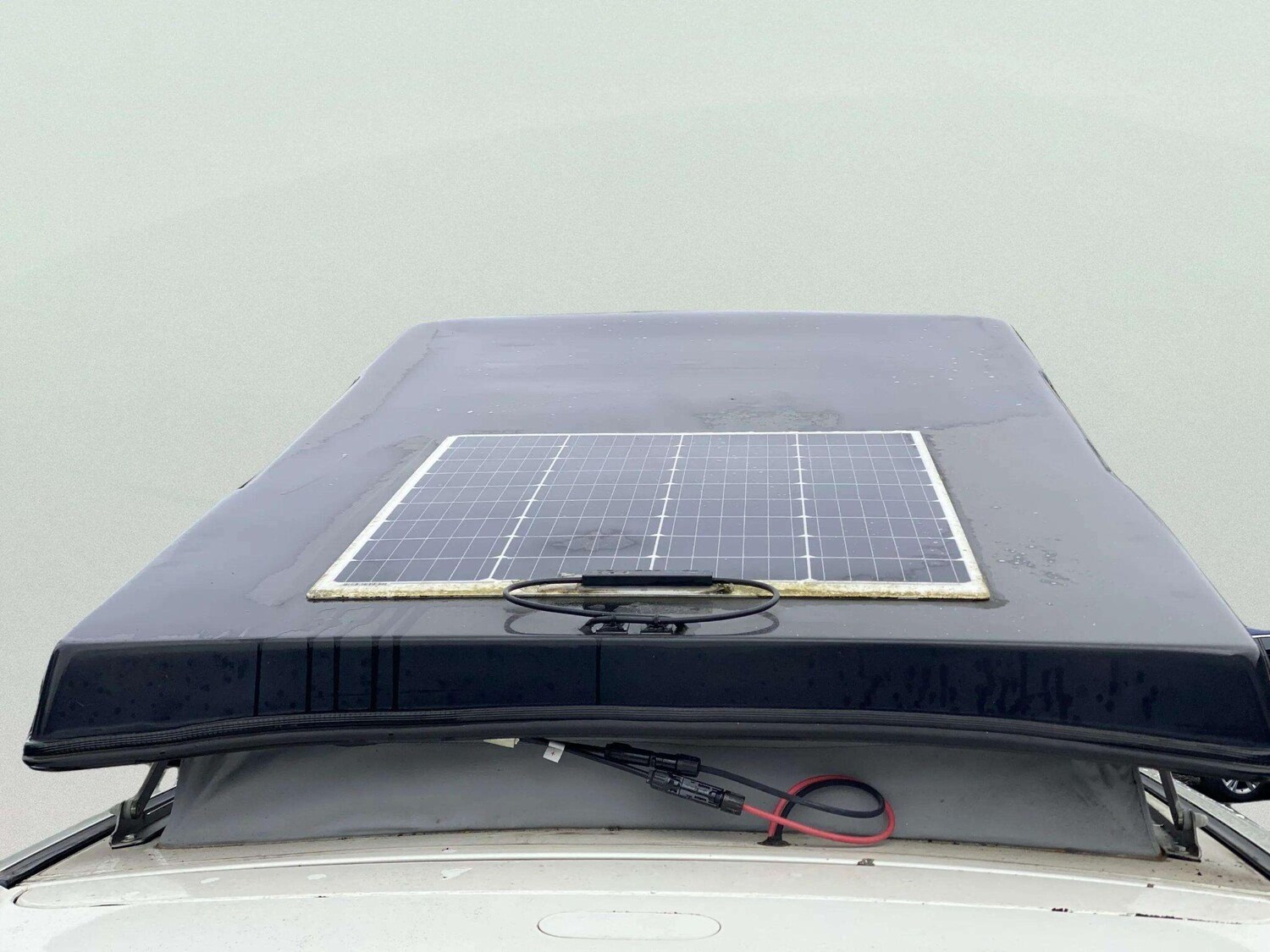 Used Toyota Alphard for sale - 77808295: Photo 52