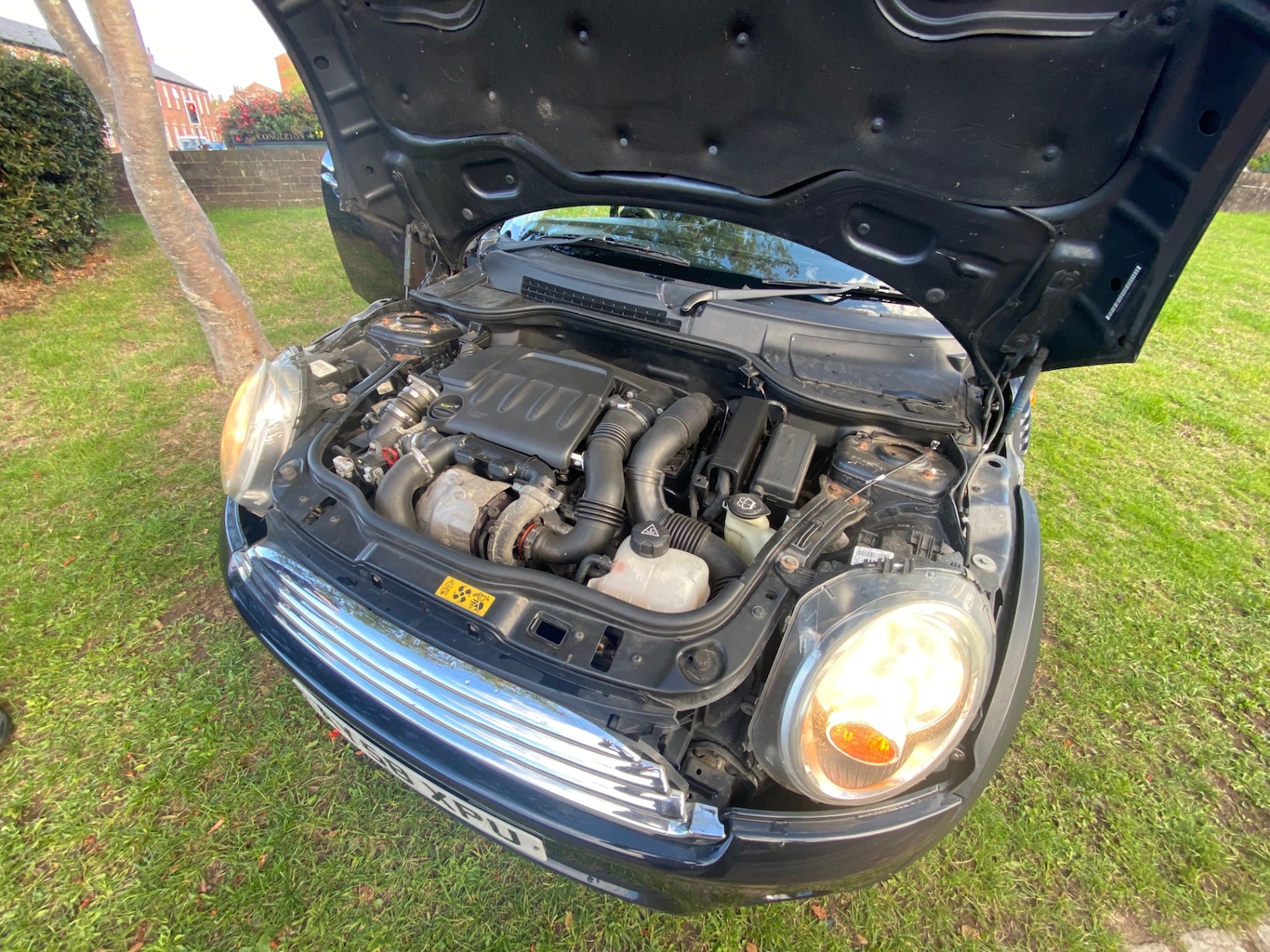 Used MINI Hatch 2008 for sale - 76037955: Photo 12