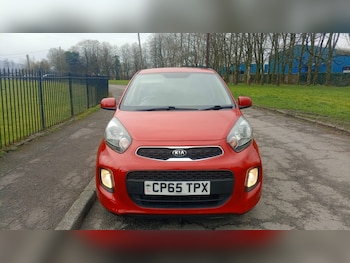Used Kia Picanto 2016 for sale - 77324753: Photo