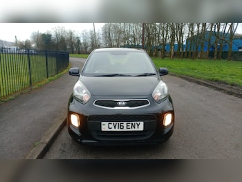 Used Kia Picanto 2016 for sale - 77674991: Photo