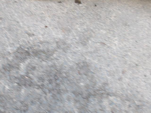 Used Vauxhall Corsa 2023 for sale - 76782571: Photo 16