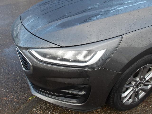 Used Ford Focus 2023 for sale - 76782568: Photo 13