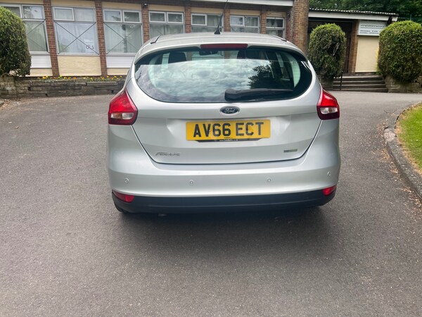 Used Ford Focus 2016 for sale - 76116700: Photo 8